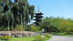 東寺（教王護国寺）To-ji