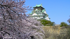 大阪城と桜　with Cherry blossom